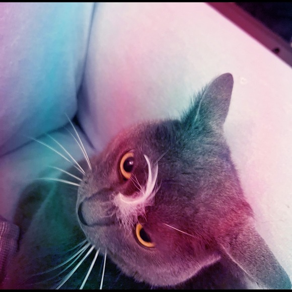 POSH AMBASSADOR 2 & suggested user.. 😊 - Picture 15 of 17